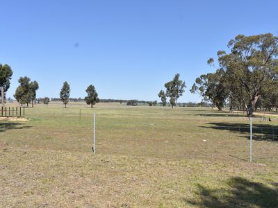 3166 Back Trundle Road, Parkes