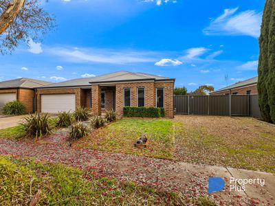 81 Greenfield Drive, Epsom