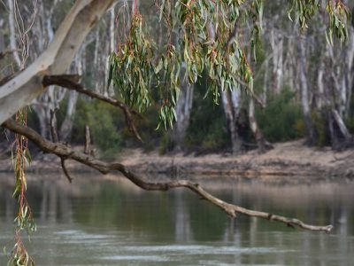 Lot 42, Riverview Drive, Barham