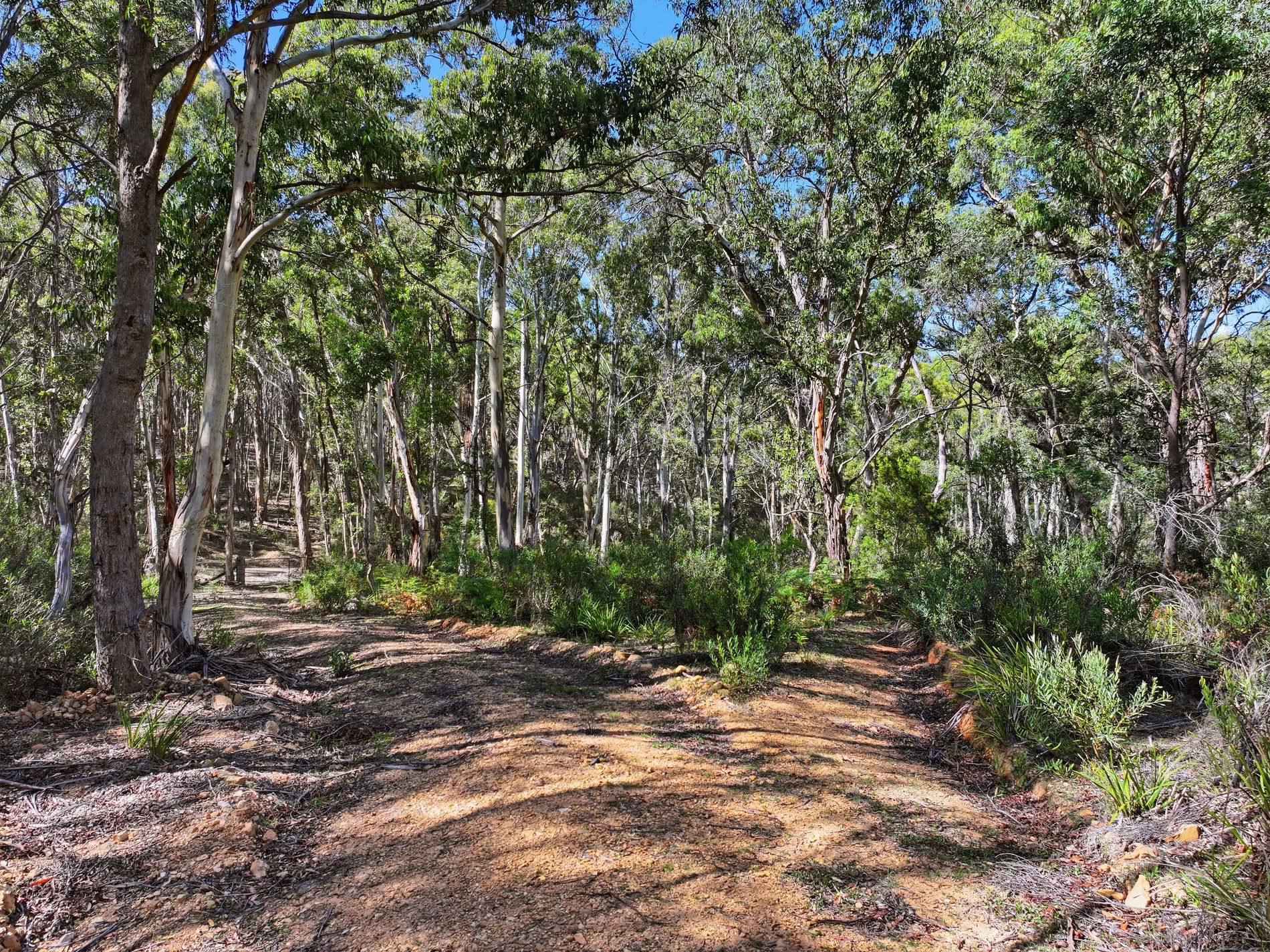 329 Charleys Forest Road, Braidwood