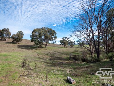 Lot 21 Halls Creek Road, Bendemeer