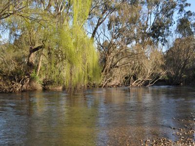 3392 Kiewa Valley Highway, Kergunyah