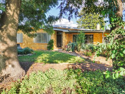 24 Park Street, West Wyalong