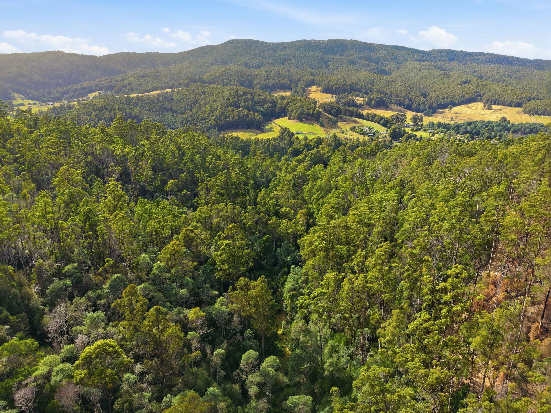 111 Underwoods Road, Nicholls Rivulet