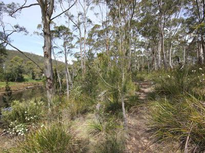31 Lowes Road, Garden Island Creek