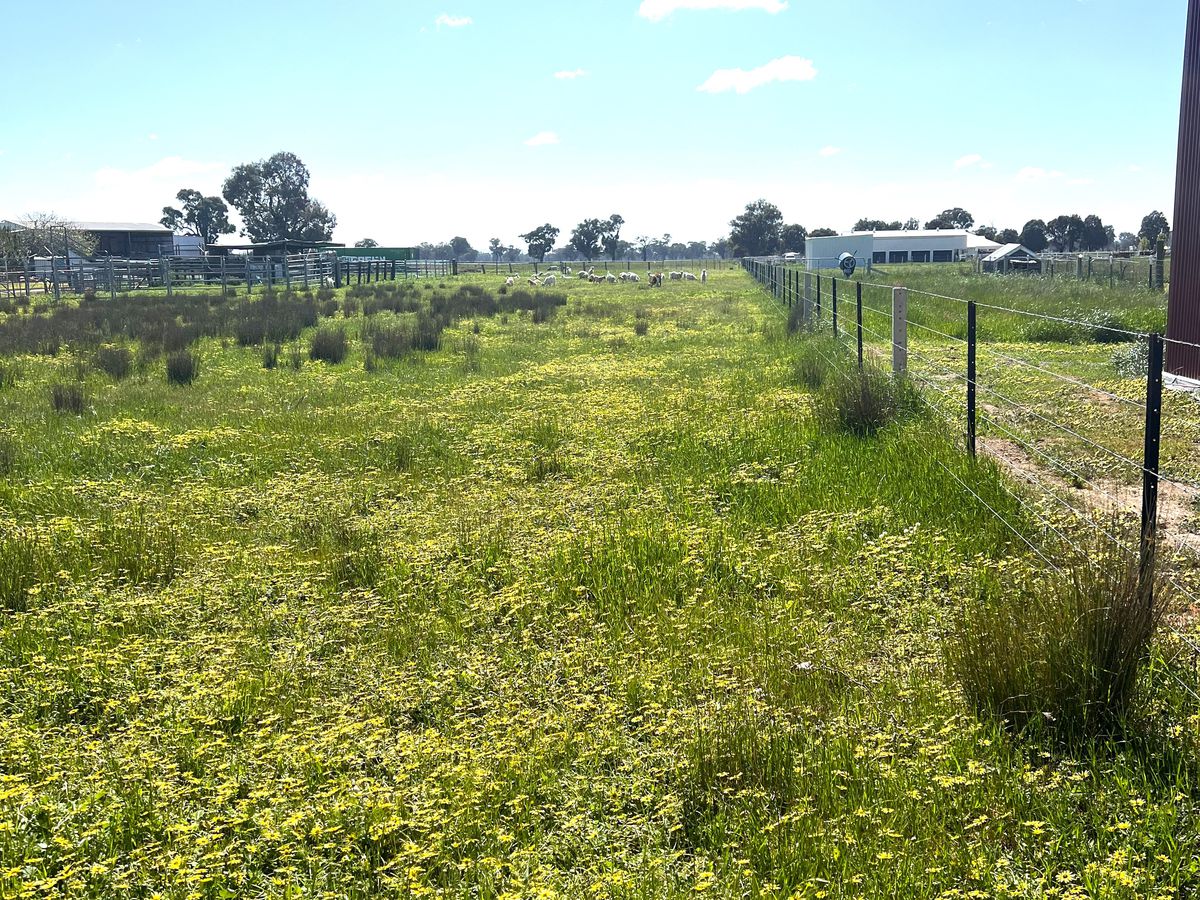 Lot 1, Dennis Road, Benalla
