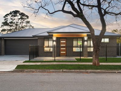 1D Wilson Street, Plympton Park