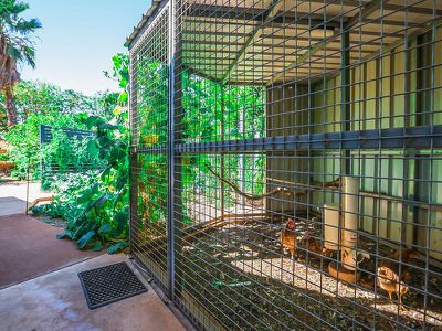 70 Greene Place, South Hedland