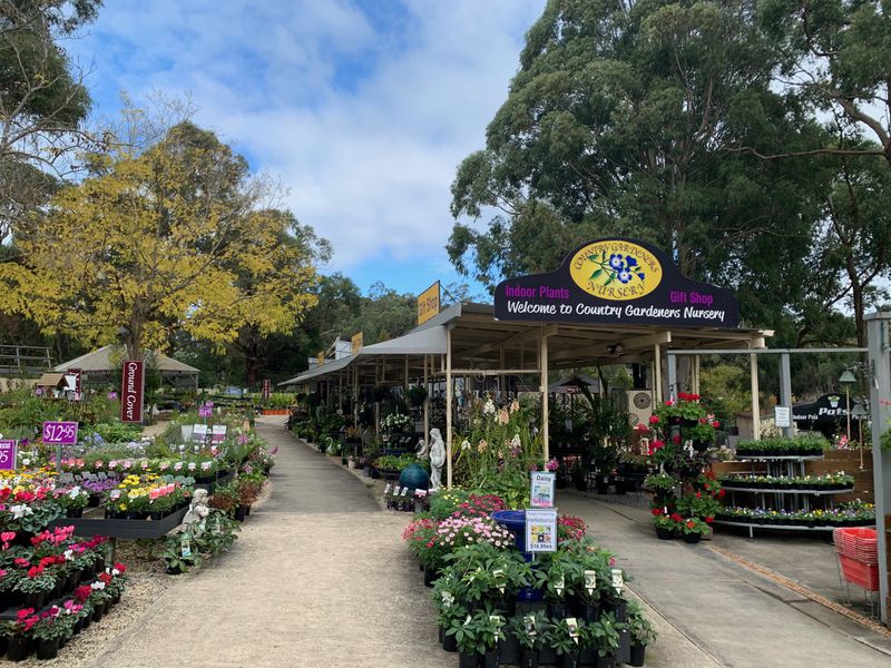 Wholesale and Retail Plant Nursery Business with Freehold for Sale