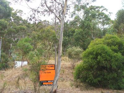 75 Williams Road, Randalls Bay