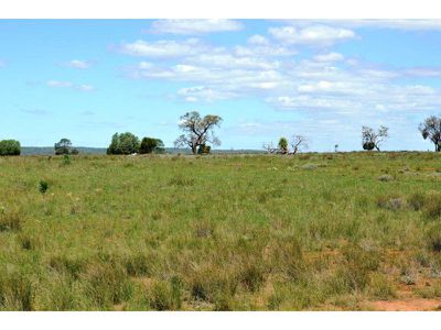 8299 Oxley Highway, Gunnedah