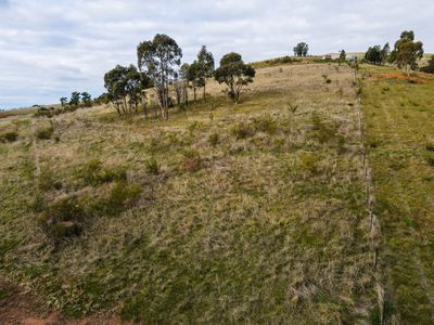 Lot 10 Vineyard Estate , Avenel