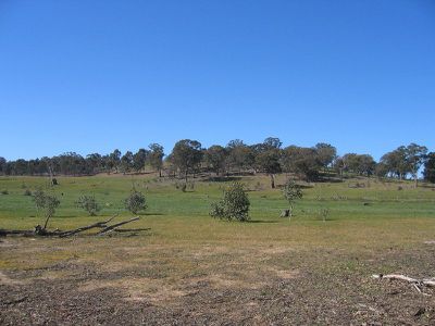 00 HOLTS FLAT TRACK, Redcastle