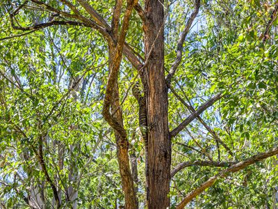 257 Creegans Road, Barkers Vale