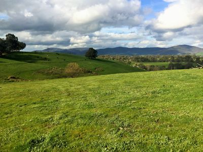Lot 28 Back Creek Road, Yackandandah