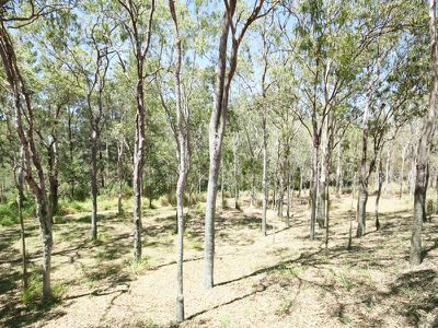 155 Gilmore Road , Mareeba