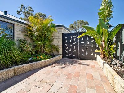 5 Diamondbird  , Baldivis