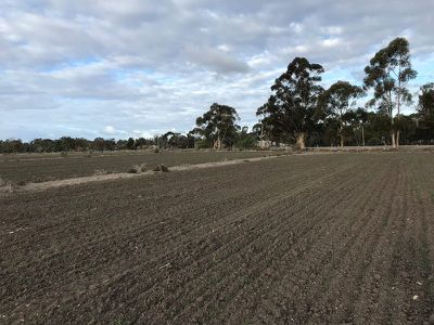 46 Browning Avenue, Murrabit