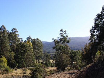 Lot 10, Lonnavale Road, Lonnavale