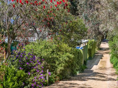 107 Lyttleton Street, Castlemaine