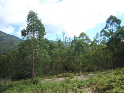 Office PE / Lot 2 Lverata Road, Pelverata