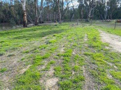 15 Riverview Drive, Barham