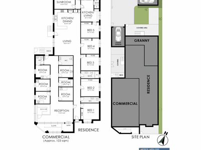 119 Wollongong Road, Arncliffe