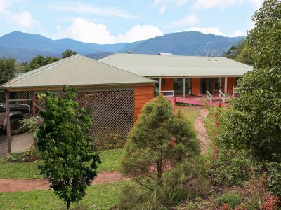 52 Falls Road, Nimbin