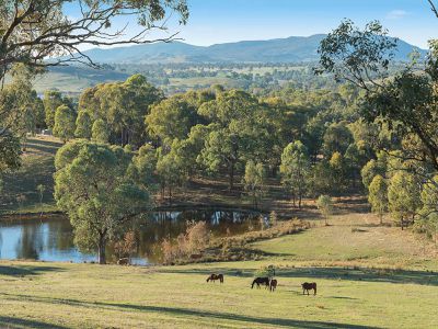 35 Hollams Road, Mansfield