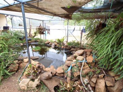 9 Lachlan Street, Boree Creek