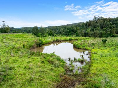 1855 Nimbin Road, Coffee Camp