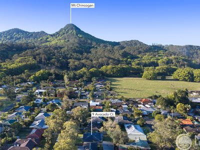 9 Avocado Court, Mullumbimby