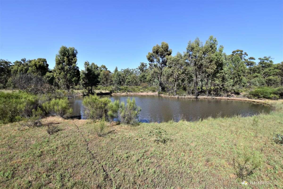 107b Murchison-Whroo Road, Whroo