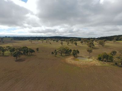 2E Hines Lane, Gordon