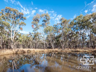 137 Aberdeen Road, Gilgai