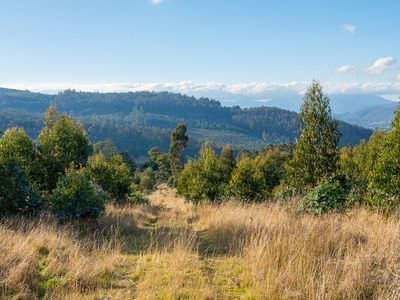 Lot 10 off Paddys Lane, Franklin
