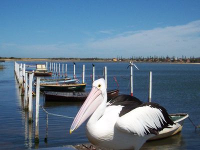 7 / 76-78 Pur Pur Avenue, Lake Illawarra