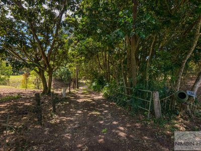 447 Terania Creek Road, Terania Creek