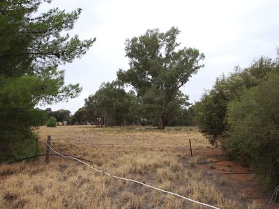 Lot 12 Green Street West, Lockhart