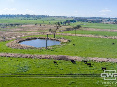 1067 Shannon Vale Road, Shannon Vale