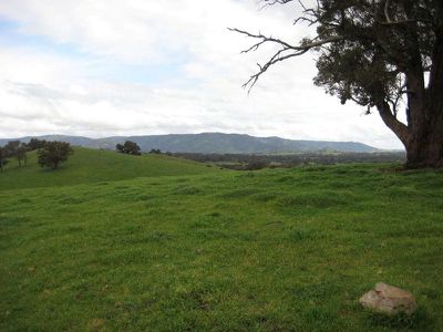 75 Lambing Gully Rd, Whiteheads Creek