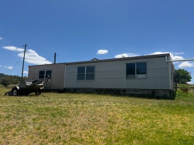 50 Porcupine Lane 'Seymour', Tintinhull