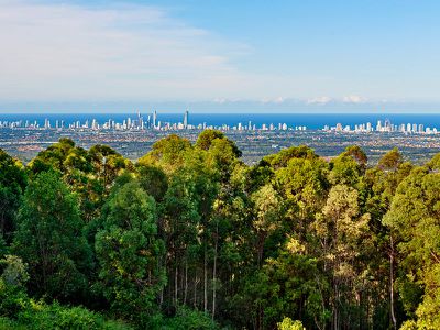 351 The Panorama , Tallai