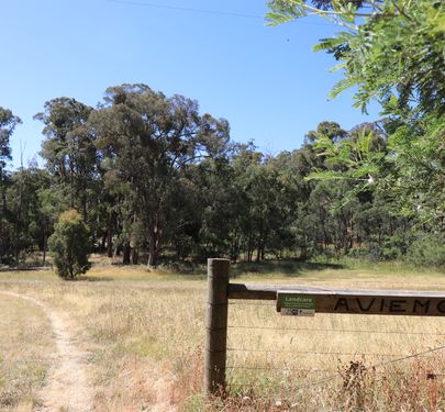 146 Moores Road, Caveat