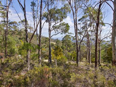 41 Cawthorns Road, Wattle Grove