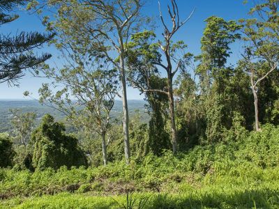 12 Boongala Avenue, Montville