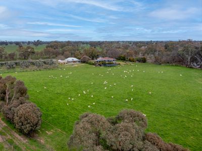 2269 Snow Road, Markwood
