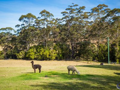 70 Wagonga Scenic Drive, Narooma