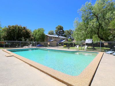 23 / 135 Rex Road, Georges Hall