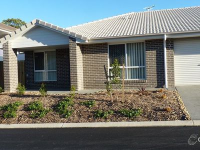 12 / 31 Lyrebird Street, Loganlea